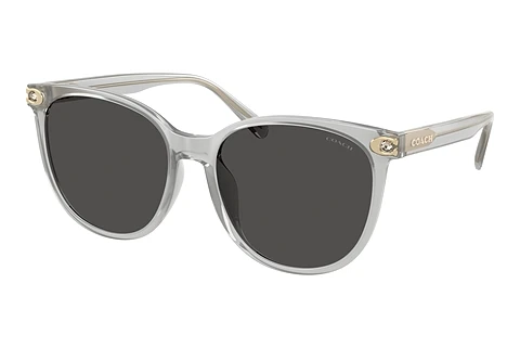 Ophthalmic Glasses Coach CW428 (HC8414BD 561487)