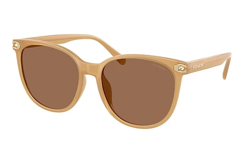 Ophthalmic Glasses Coach CW428 (HC8414BD 585473)