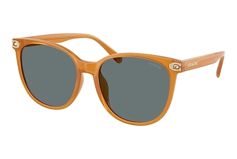 Ophthalmic Glasses Coach CW428 (HC8414BD 585580)