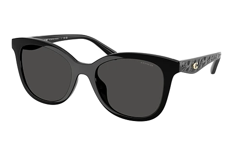 Ophthalmic Glasses Coach CAD25 (HC8419U 500287)