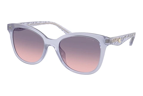 Ophthalmic Glasses Coach CAD25 (HC8419U 5873I6)