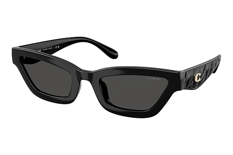 solbrille Coach CAD28 (HC8420U 500287)