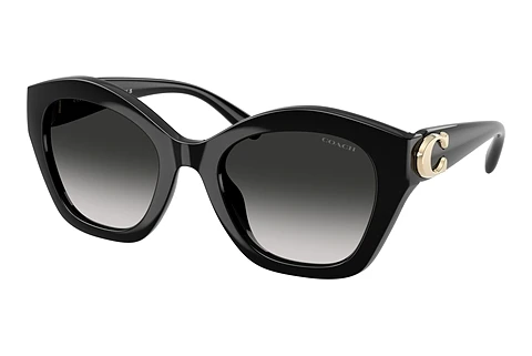 solbrille Coach CAD31 (HC8421U 50023C)