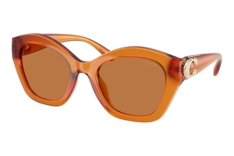 solbrille Coach CAD31 (HC8421U 564773)