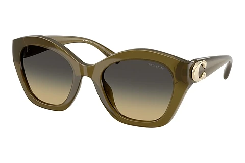 solbrille Coach CAD31 (HC8421U 5872L0)