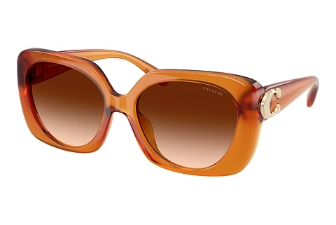 Ophthalmic Glasses Coach CAD33 (HC8422U 564774)