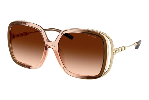 solbrille Coach CAD80 (HC8423U 576974)