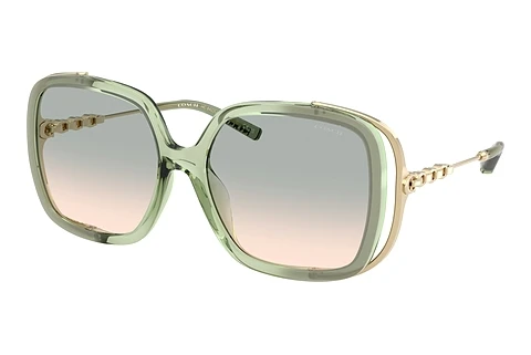 Ophthalmic Glasses Coach CAD80 (HC8423U 58902C)