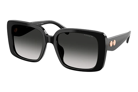 Ophthalmic Glasses Coach CAD54 (HC8424U 50023C)