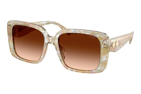 Ophthalmic Glasses Coach CAD54 (HC8424U 586874)