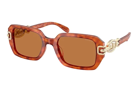 Ophthalmic Glasses Coach CAD74 (HC8425U 577473)