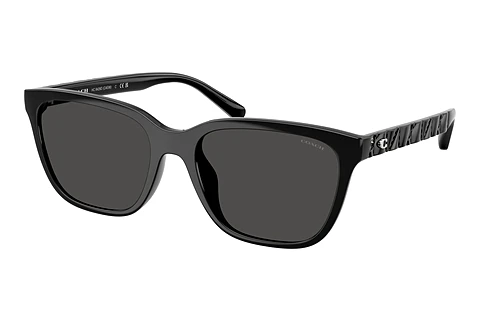 Ophthalmic Glasses Coach CAE86 (HC8429D 500287)