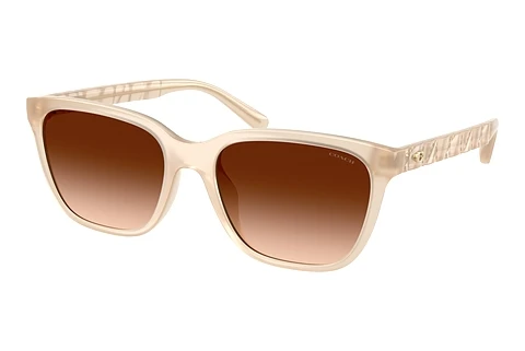 solbrille Coach CAE86 (HC8429D 588374)