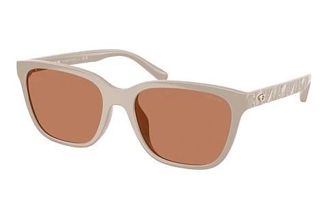 Ophthalmic Glasses Coach CAE86 (HC8429D 58843)