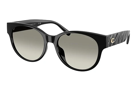 Ophthalmic Glasses Coach CAE87 (HC8430D 50023C)