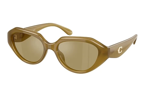 Sonnenbrille Coach CBY77 (HC8433U 590230)