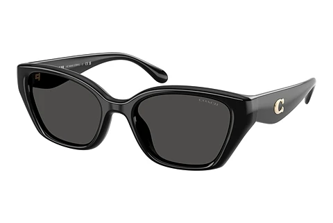 Sonnenbrille Coach CBY91 (HC8434U 500287)