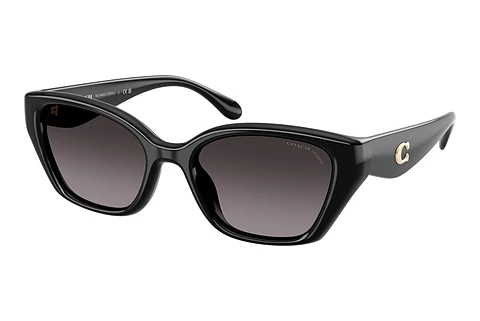 Sonnenbrille Coach CBY91 (HC8434U 5002F4)