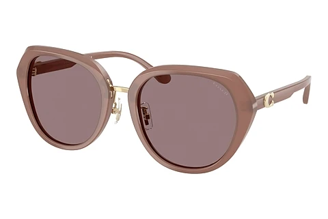Sonnenbrille Coach CBY93 (HC8436 54957N)