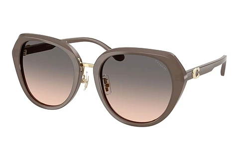 Sonnenbrille Coach CBY93 (HC8436 5917G9)
