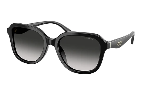 Sonnenbrille Coach CBY87 (HC8437U 50023C)