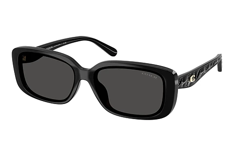 Sonnenbrille Coach CBY86 (HC8444D 500287)