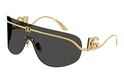 Zonnebril Dolce & Gabbana DG2320 02/87