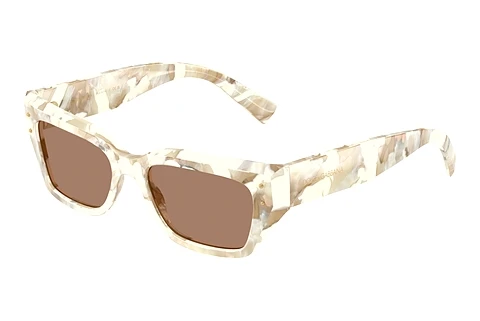 Sluneční brýle Dolce & Gabbana DG4462 346173
