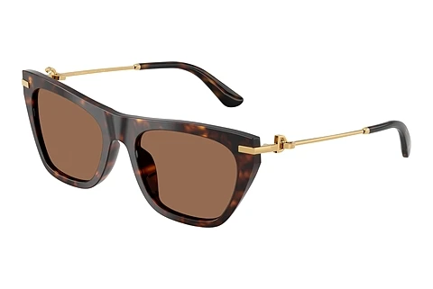 Solglasögon Dolce & Gabbana DG4511 502/73