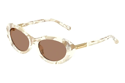 Sluneční brýle Dolce & Gabbana DG4519 346173