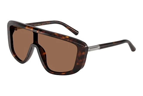 Sonnenbrille Dolce & Gabbana DG4520 502/73