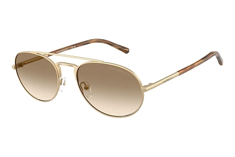 Solglasögon Emporio Armani EA2171 300213