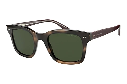 solbrille Giorgio Armani AR8138 573431