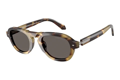 Sluneční brýle Giorgio Armani AR8244 6301B1