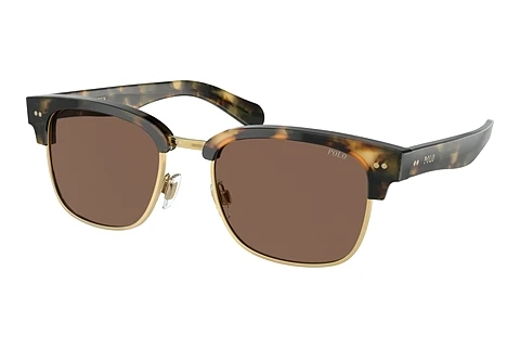 Ophthalmic Glasses Polo PH4202 608773