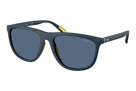 Solglasögon Polo PH4231U 590480