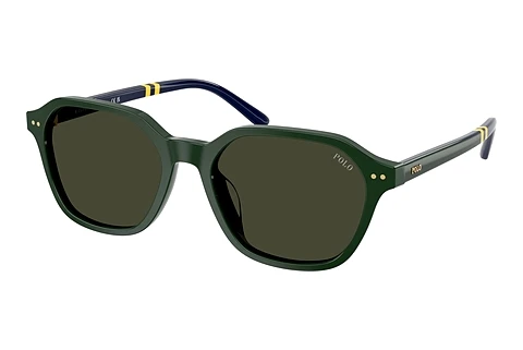 Sonnenbrille Polo PH4234U 614082