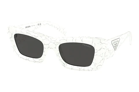 solbrille Prada PR 13ZS 17D5S0