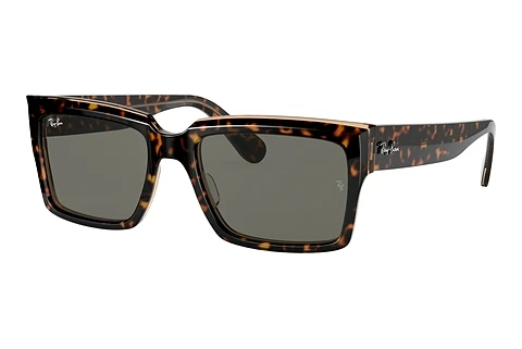 Ophthalmic Glasses Ray-Ban INVERNESS (RB2191 1292B1)