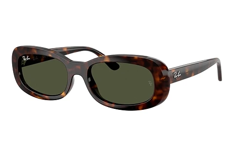 Solglasögon Ray-Ban RB2221 902/31