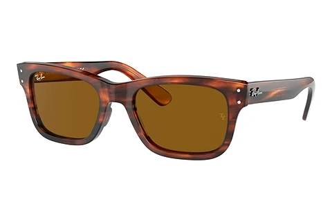 Óculos de marca Ray-Ban MR BURBANK (RB2283 954/33)