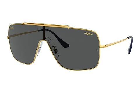 Ray-Ban WINGS II (RB3697 924687) Napszemüveg