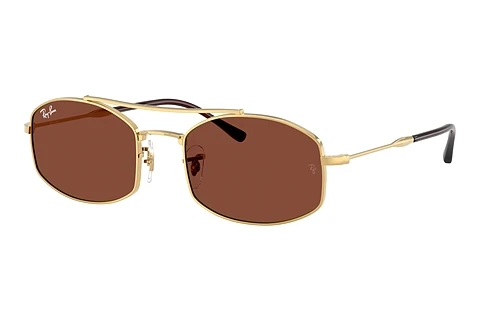 Sonnenbrille Ray-Ban RB3719 001/C5