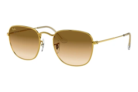 Akiniai nuo saulės Ray-Ban FRANK (RB3857 919651)