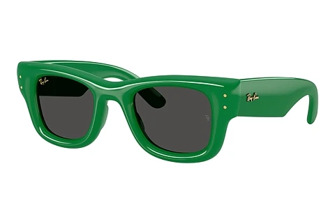 solbrille Ray-Ban WAYFARER PUFFER (RB4940 683487)
