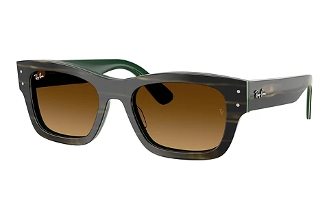 Solglasögon Ray-Ban JOSEPH (RB7683S 140285)