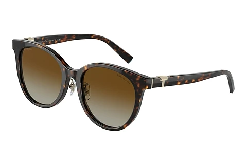 Ophthalmic Glasses Tiffany TF4209D 8015T5
