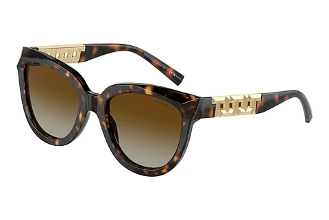 Solglasögon Tiffany TF4215 8015T5