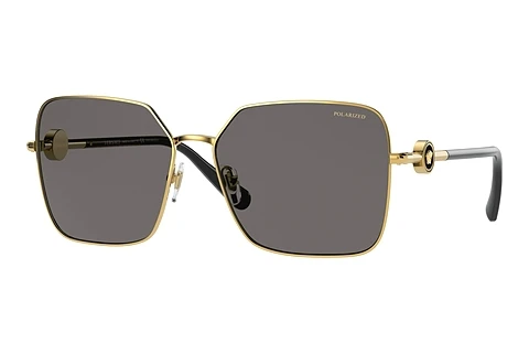 Akiniai nuo saulės Versace VE2227 100281