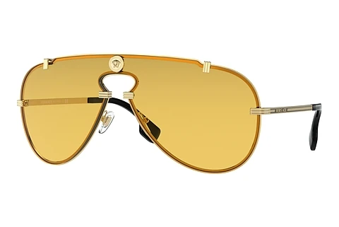 Ophthalmic Glasses Versace VE2243 100285